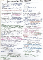 Environmental Issues.pdf